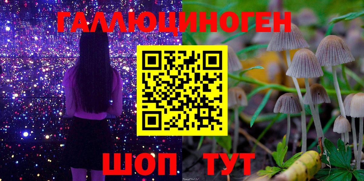 Галлюциногенные грибы ЛСД  Вход с VPN  Псилоцибиновые грибы GOLDEN TEACHER  Ростов-на-Дону 